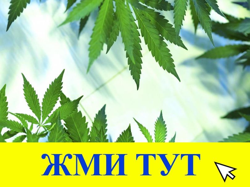 Купить наркотики в Тавде